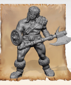 The Barbarian
